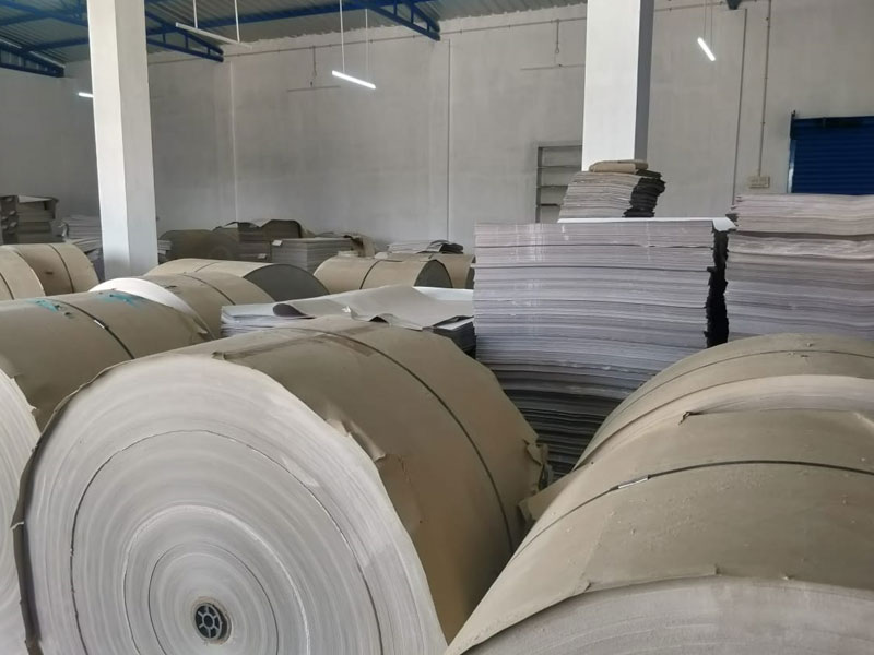 paper plate manufacturer
