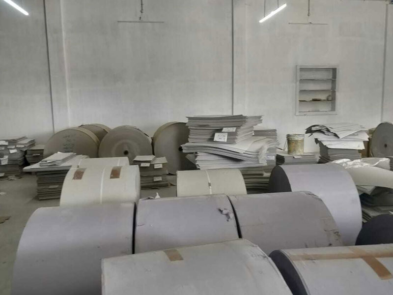 paper plate manufacturer