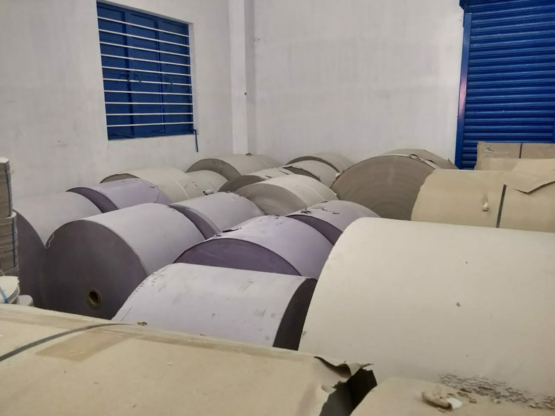 paper plate manufacturer